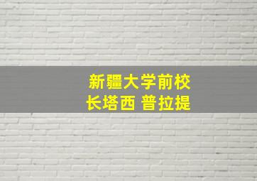 新疆大学前校长塔西 普拉提